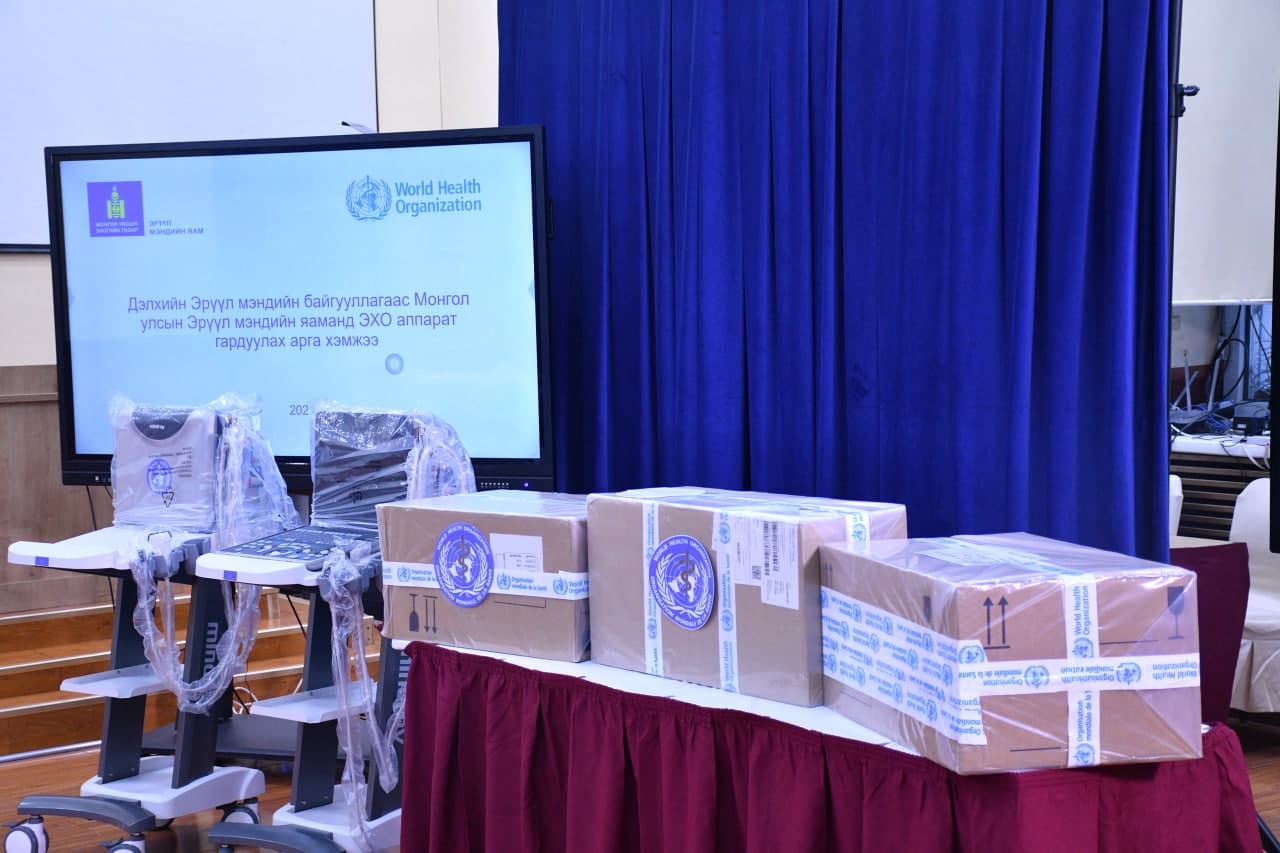 ДЭМБ-ЫН ЗҮГЭЭС ЭХО АППАРАТ БОЛОН ТОМУУГИЙН ЭСРЭГ ТАМИФЛЮ ЭМИЙГ ХҮЛЭЭЛГЭН ӨГЛӨӨ