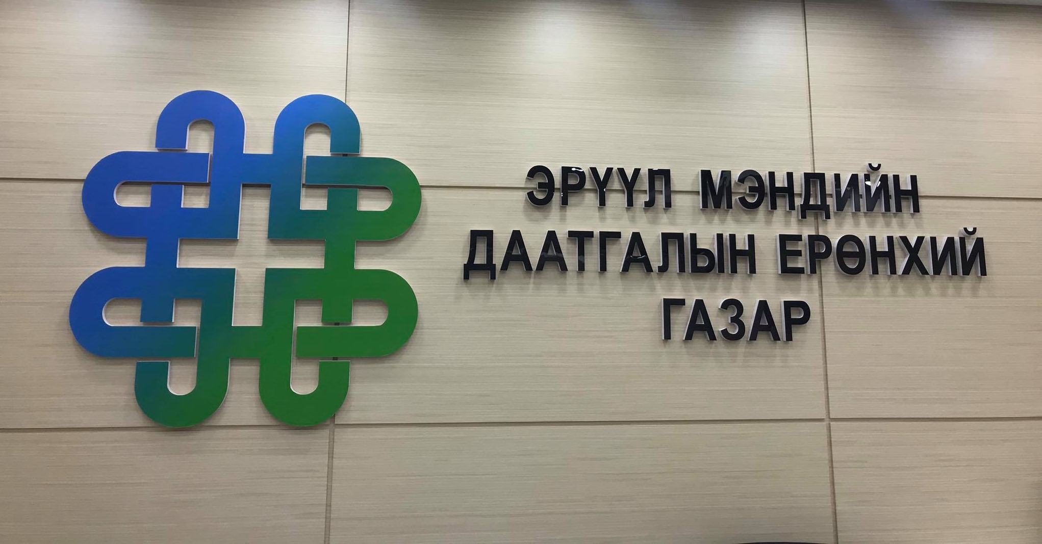 Шинэчлэн батлагдсан 541 нэр бүхий ХӨНГӨЛӨЛТТЭЙ ЭМИЙН жагсаалт