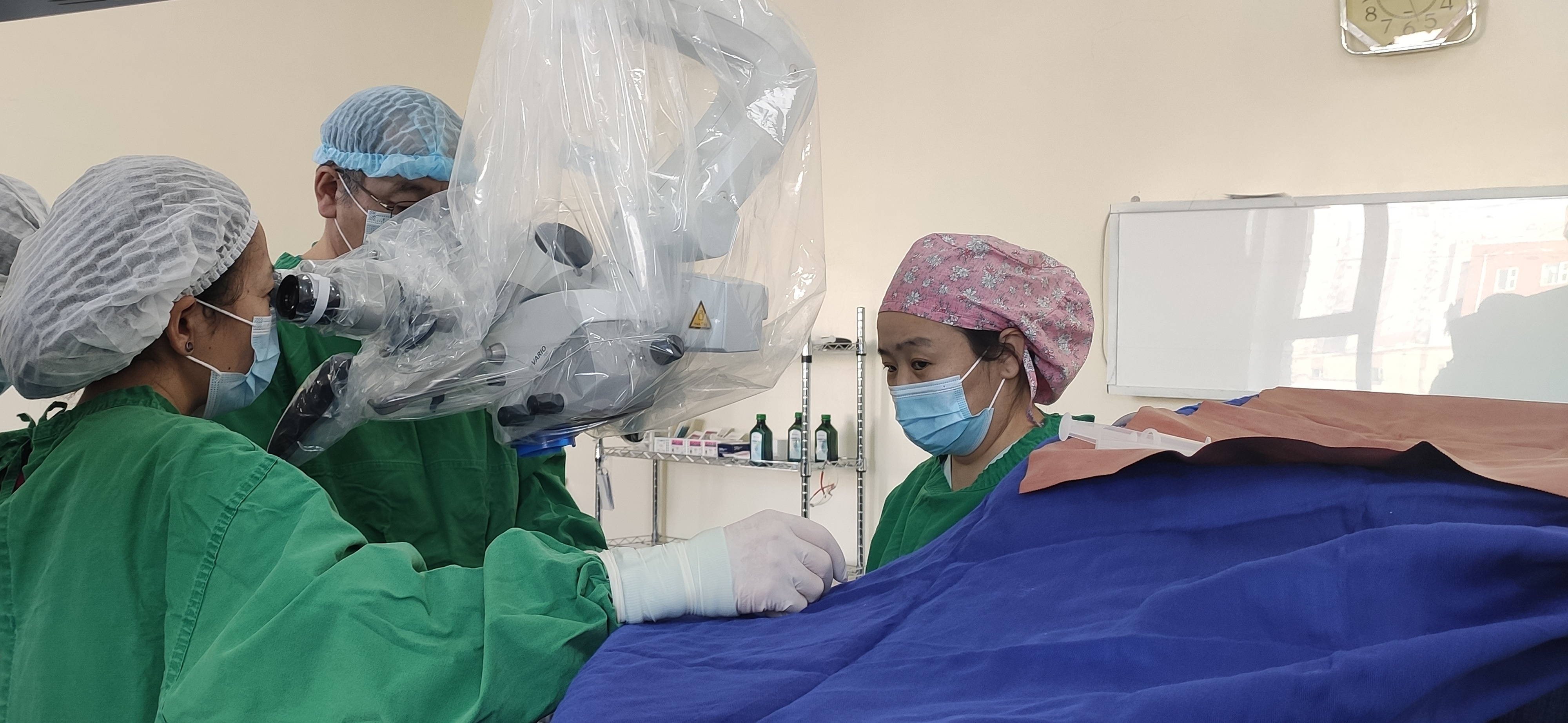 МОНГОЛ УЛСАД АНХ УДАА АМНЫ ХӨНДИЙН ХҮРЦЭЭР ГАВЛЫН КЛИВУС ОРЧМЫН ХОРДОМА ХАВДАР АВАХ ЭМЧИЛГЭЭГ АМЖИЛТТАЙ ХИЙЛЭЭ