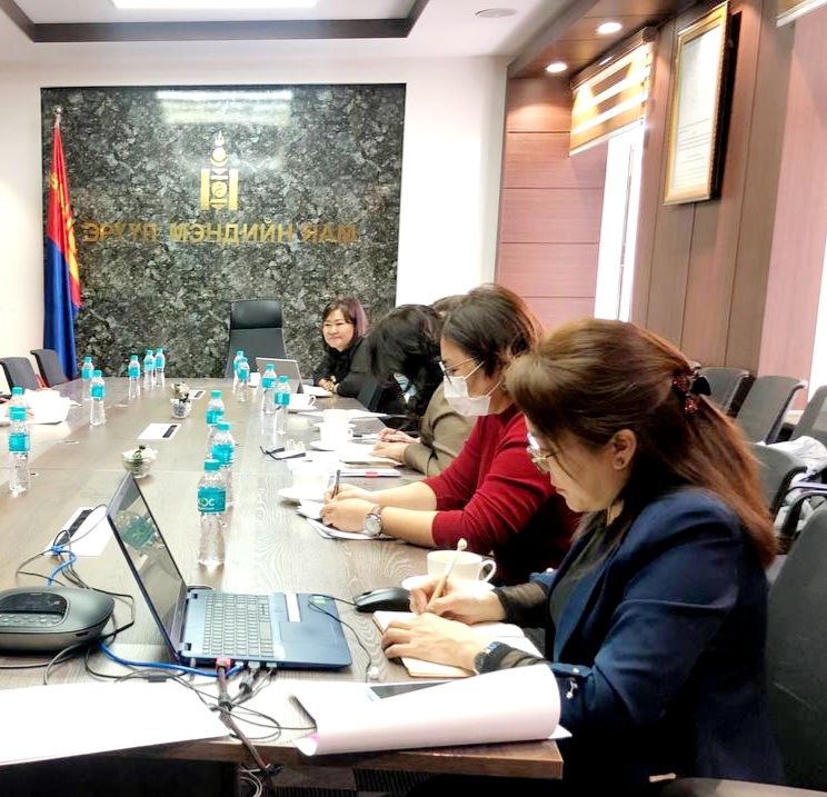 НҮҮР АМ СУДЛАЛ ЧИГЛЭЛИЙН РЕЗИДЕНТИЙН СУРГАЛТЫН ХӨТӨЛБӨР БОЛОВСРУУЛАХ АЖЛЫН ХЭСГИЙН УУЛЗАЛТ БОЛЛОО