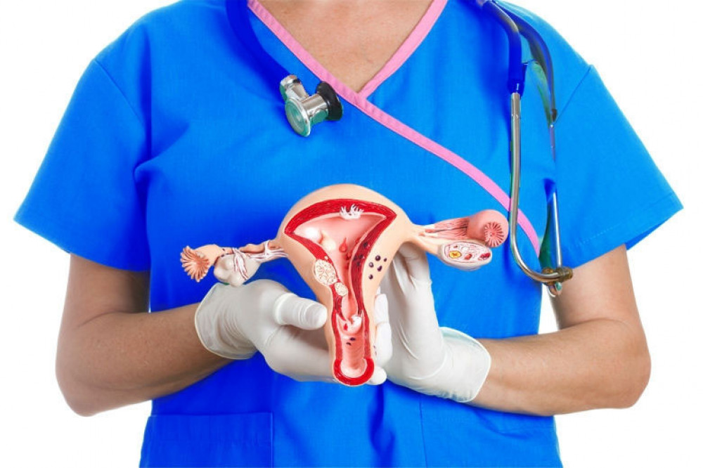 Умайн хүзүүний хорт хавдрын бүх төрлийн тусламж, үйлчилгээг ЭМД-аас 100 хувь хариуцна 